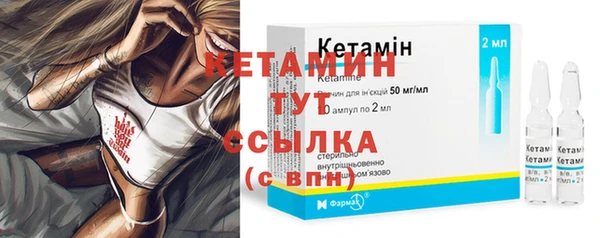соль ск Каменка