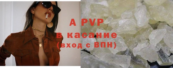 соль ск Каменка