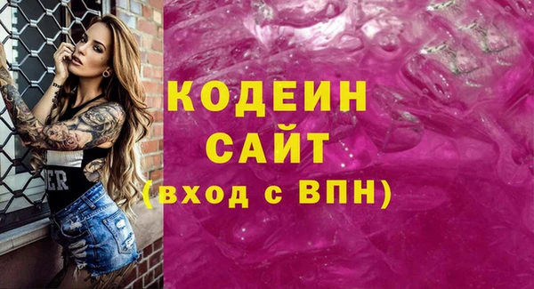 соль ск Каменка