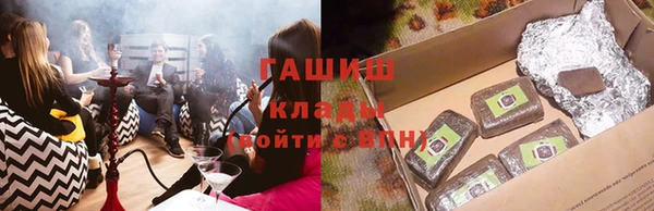 соль ск Каменка