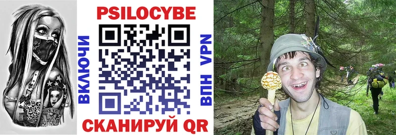Купить  Вольск  Псилоцибиновые грибы MAGIC MUSHROOMS 